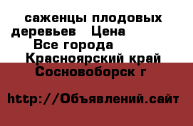 саженцы плодовых деревьев › Цена ­ 6 080 - Все города  »    . Красноярский край,Сосновоборск г.